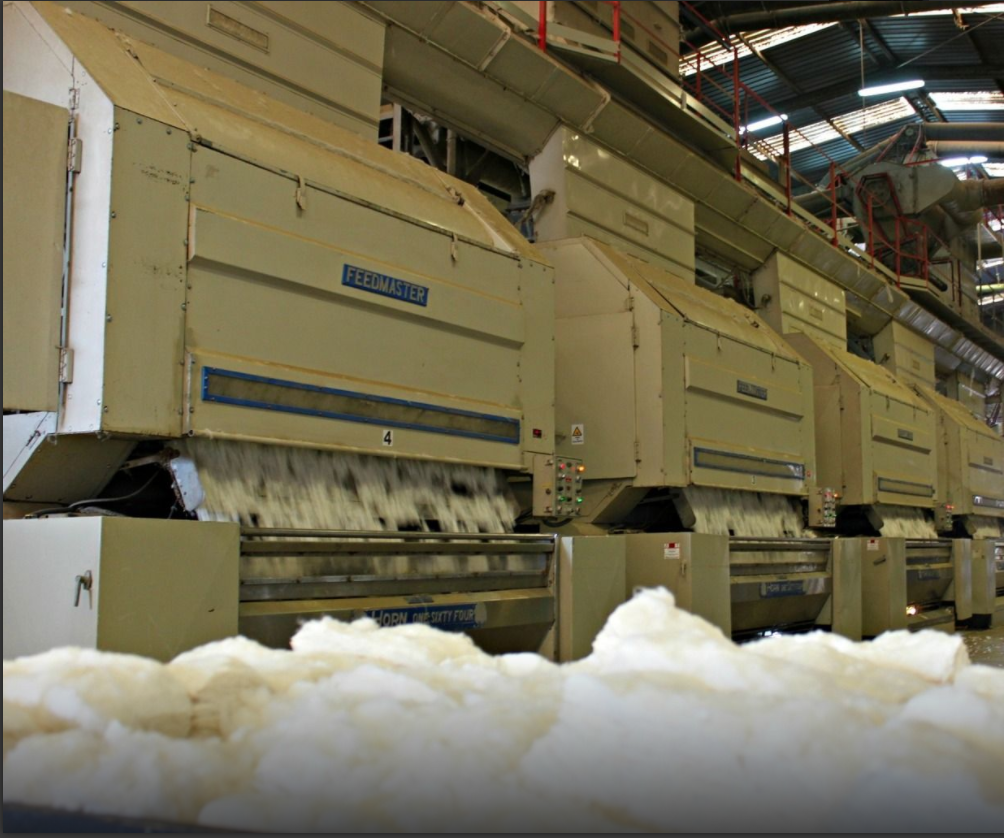 proceso de elaboración del algodón